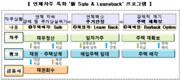 연체차주 특화 '신 Sale & Leaseback프로그램'  [자료=금융위원회 제공]